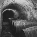 1934 photos
